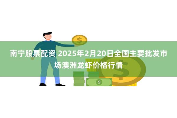 南宁股票配资 2025年2月20日全国主要批发市场澳洲龙虾价格行情