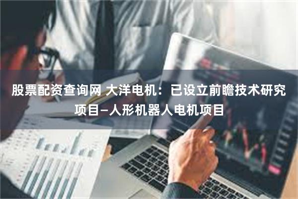 股票配资查询网 大洋电机：已设立前瞻技术研究项目—人形机器人电机项目