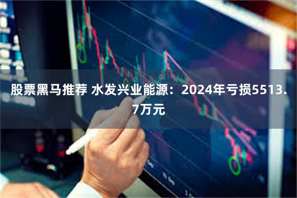 股票黑马推荐 水发兴业能源：2024年亏损5513.7万元