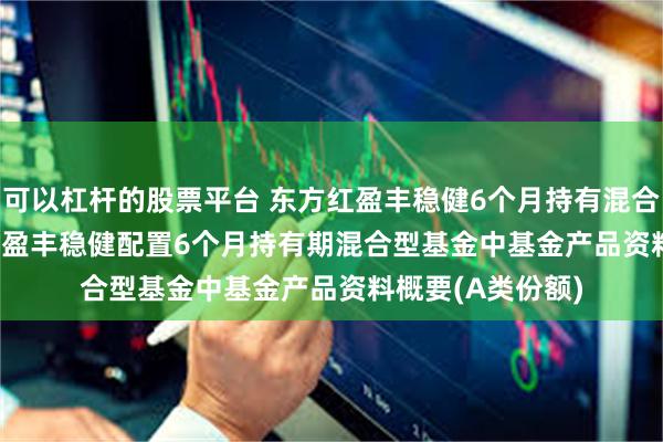 可以杠杆的股票平台 东方红盈丰稳健6个月持有混合(FOF)A: 东方红盈丰稳健配置6个月持有期混合型基金中基金产品资料概要(A类份额)
