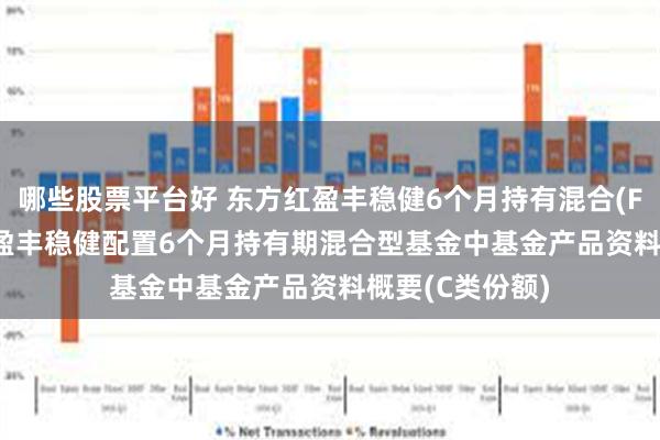 哪些股票平台好 东方红盈丰稳健6个月持有混合(FOF)C: 东方红盈丰稳健配置6个月持有期混合型基金中基金产品资料概要(C类份额)