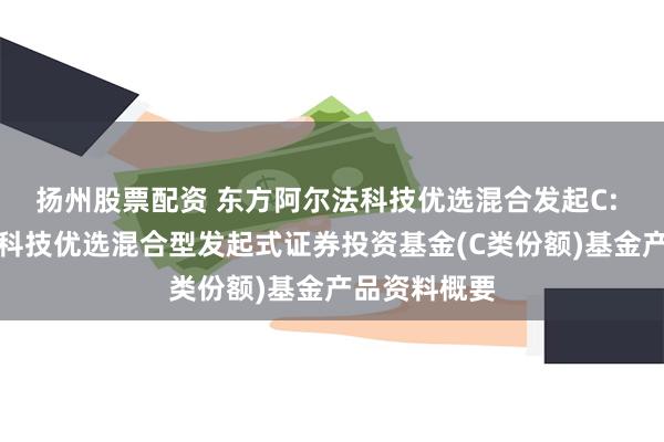 扬州股票配资 东方阿尔法科技优选混合发起C: 东方阿尔法科技优选混合型发起式证券投资基金(C类份额)基金产品资料概要