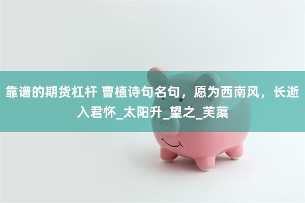 靠谱的期货杠杆 曹植诗句名句，愿为西南风，长逝入君怀_太阳升_望之_芙蕖
