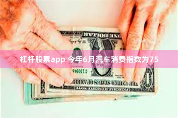 杠杆股票app 今年6月汽车消费指数为75