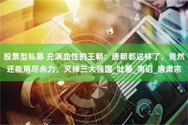 股票型私募 充满血性的王朝：唐朝都这样了，竟然还能用尽余力，灭掉三大强国_吐蕃_南诏_唐肃宗