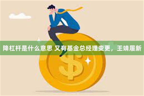 降杠杆是什么意思 又有基金总经理变更，王靖履新