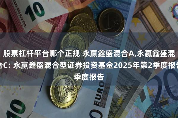 股票杠杆平台哪个正规 永赢鑫盛混合A,永赢鑫盛混合C: 永赢鑫盛混合型证券投资基金2025年第2季度报告