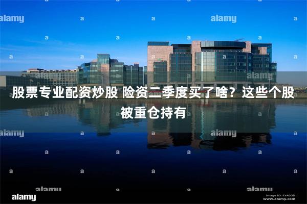 股票专业配资炒股 险资二季度买了啥？这些个股被重仓持有