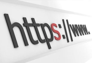HTTPS加密為互聯(lián)網(wǎng)政務(wù)信息安全保駕護(hù)航